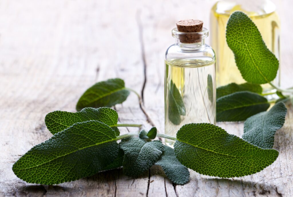 bienfaits de l'huile essentielle de sauge blanche