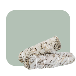best-quality white sage, buy online. Delivery.